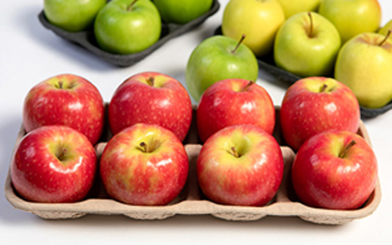 8 Holes Apple Tray