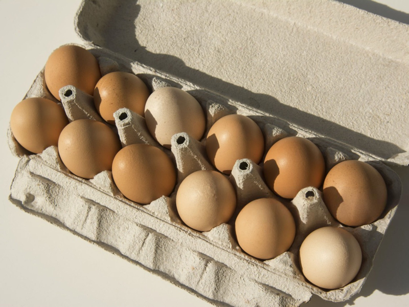 Egg Trays